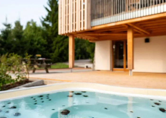 Des Sorbiers Horská chata Gérardmer